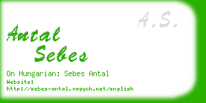 antal sebes business card